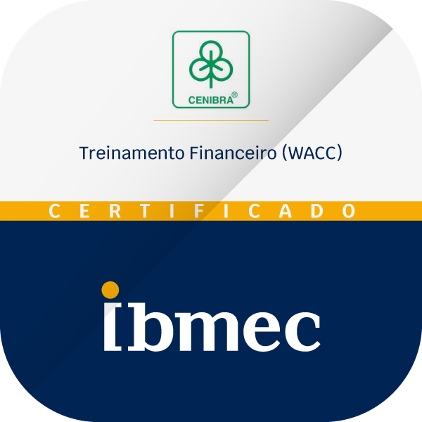 Treinamento Financeiro - WACC