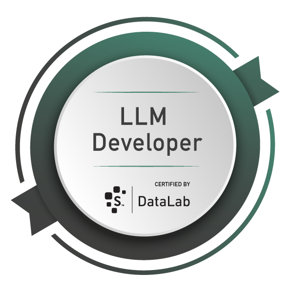 LLM Developer