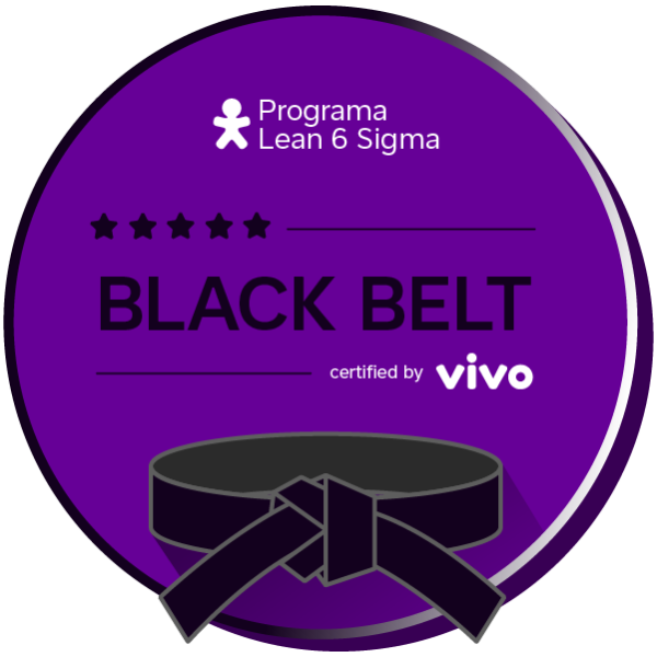 BLACK  BELT EM LEAN SIX SIGMA