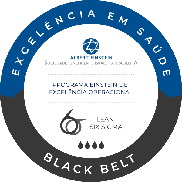 Lean Six Sigma - Black Belt