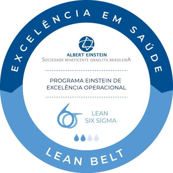 Lean Six Sigma - Lean Belt