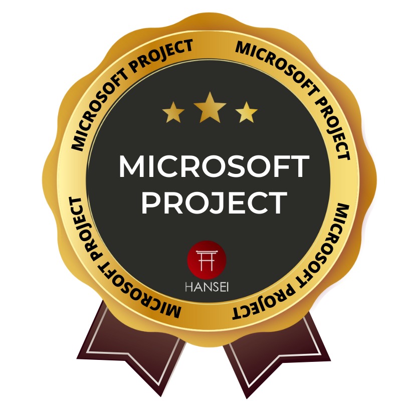 MICROSOFT PROJECT