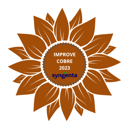 Improve Cobre