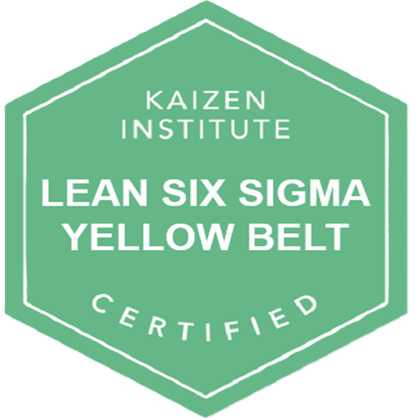 LEAN SIX SIGMA YELLOW BELT