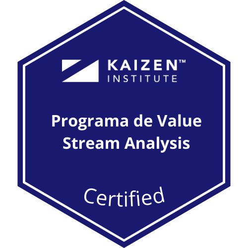 Programa de Value Stream Analysis da Família Tylenol Synus