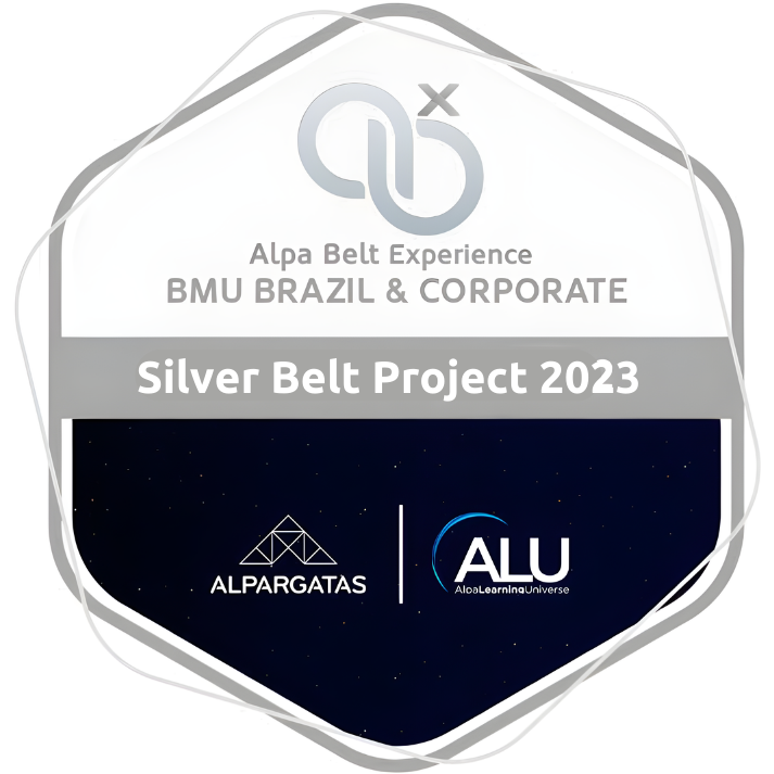 SILVER BELT PROJECT 2023 (corporate)