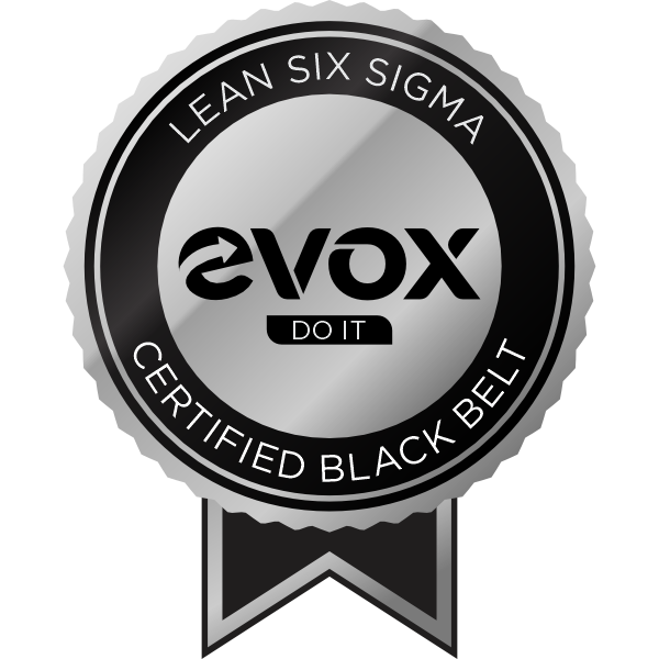 CERTIFICAÇÃO BLACK BELT (EVOX DO IT)