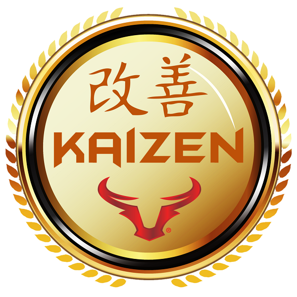 Kaizen Facilitator - Certified - MSP