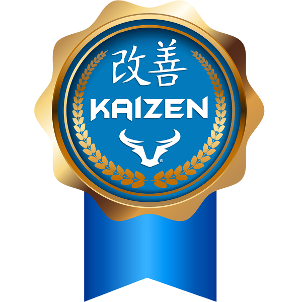 Kaizen Leader - Certified - MSP