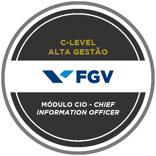 C-Level CIO – Chief Information Officer