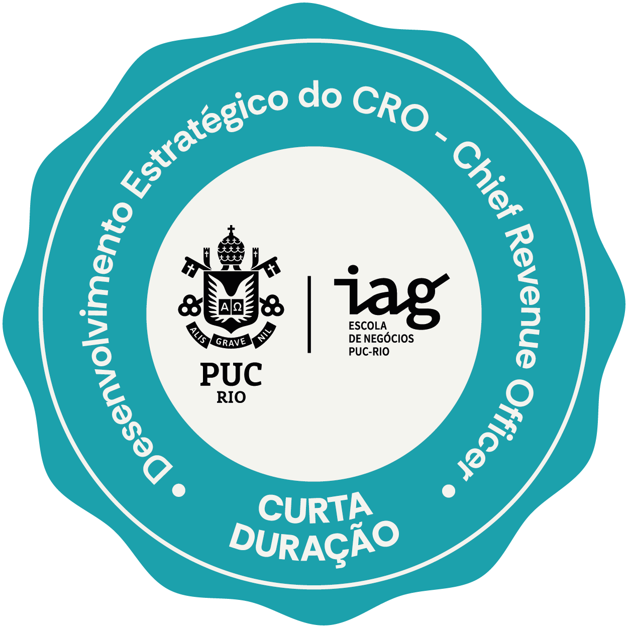 DESENVOLVIMENTO ESTRATÉGICO DO CRO – CHIEF REVENUE OFFICER