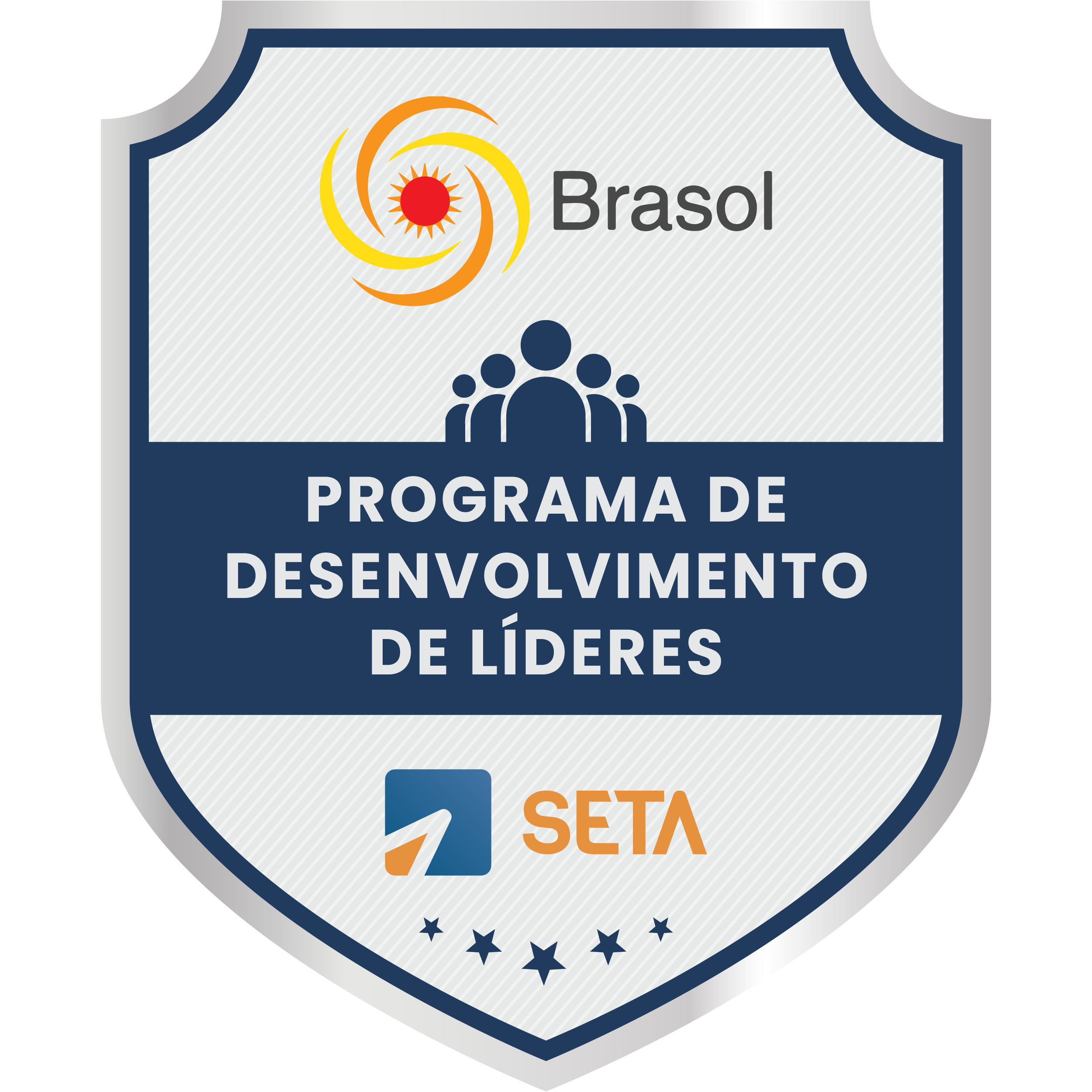 Brasol - Programa de Desenvolvimento de Líderes