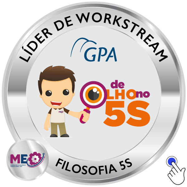 LÍDER DE WORKSTREAM  – FILOSOFIA 5S