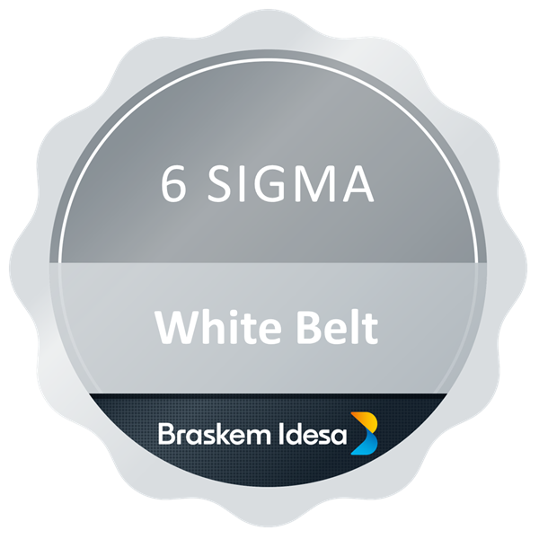 White Belt MX - 2024