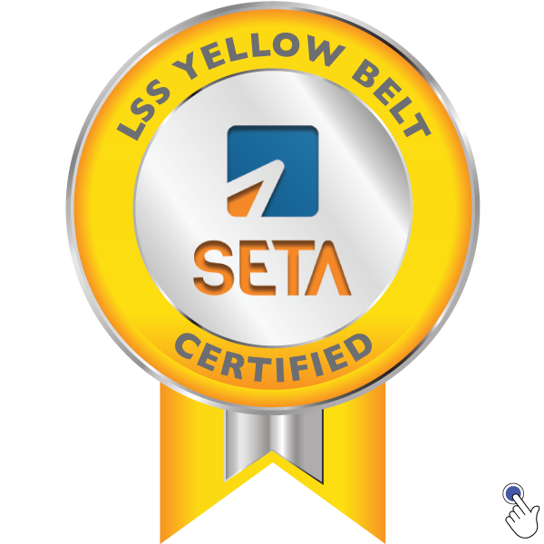 LSS YELLOW BELT - CERTIFIED