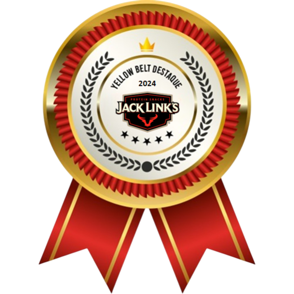 LSS YELLOW BELT - DESTAQUE - LSI 2024