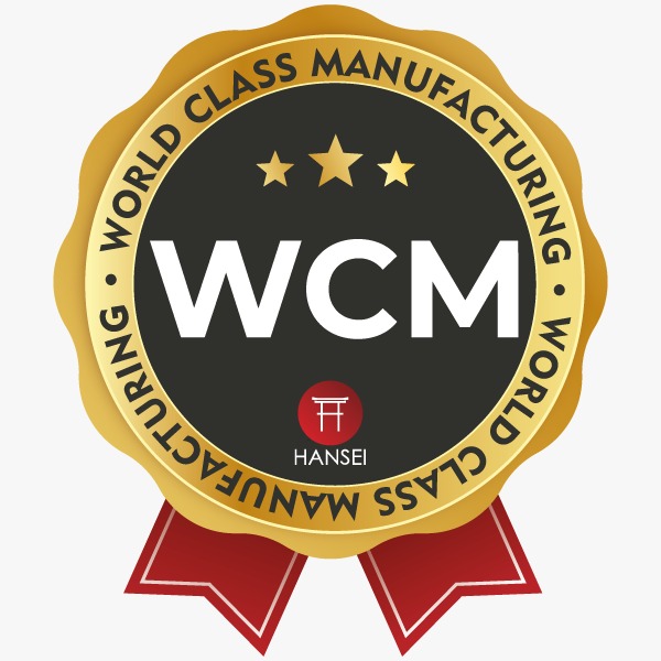 WCM (WORLD CLASS MANUFACTURING)