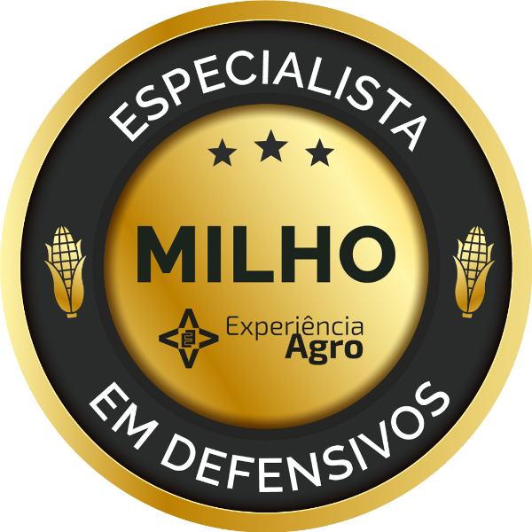 Expert na cultura do milho