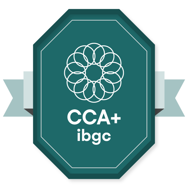 Certificação para Conselheiro de Administração Experiente (CCA Experiente  IBGC)