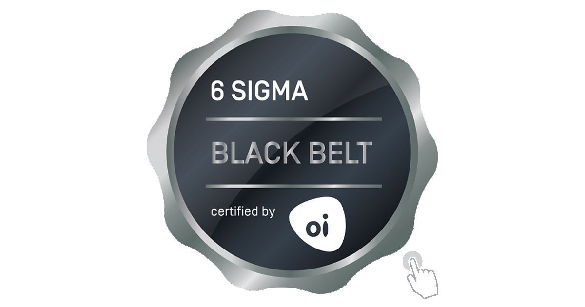 Black Belt - 6 Sigma Badge