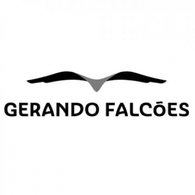 GERANDO FALCÕES