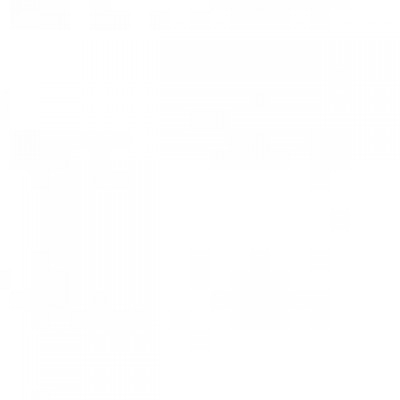 Rachel Viana Khalil Kronemberger