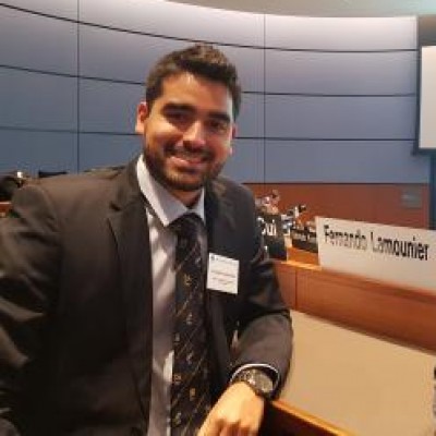 Fernando Lamounier Ferreira