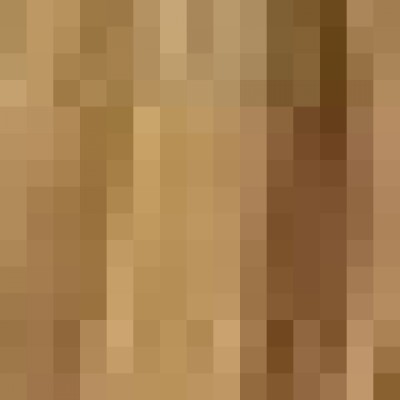 Maria de Fatima de Medeiros Brito