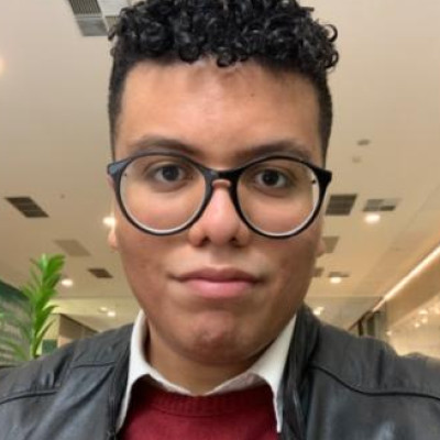 Luis Henrique Vieira Gauna