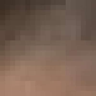 Renata Ginez de Almeida Vieira