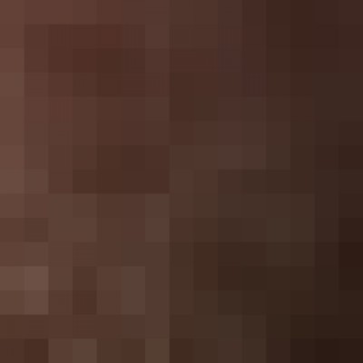 Bruno da Silva Borges