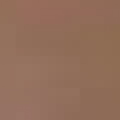 Paula Maria Suzuki Diniz Celebrone